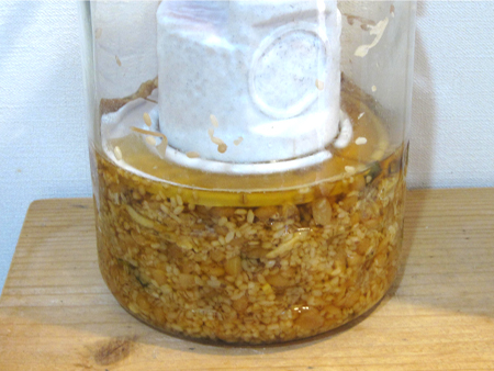 金山寺味噌作り 仕込み17日目